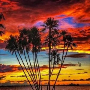 Meet your Posher, Tracey